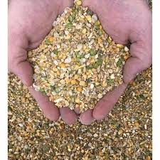 Duck Feed